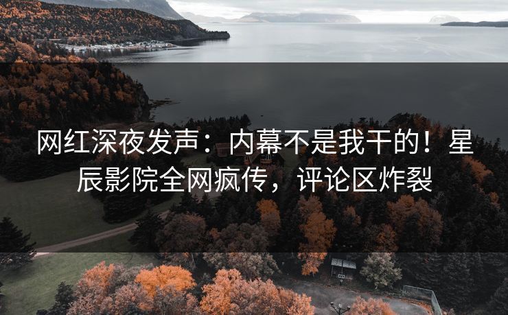网红深夜发声：内幕不是我干的！星辰影院全网疯传，评论区炸裂