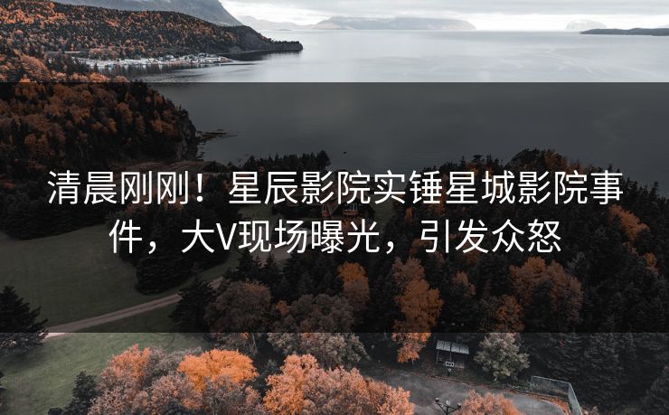 清晨刚刚！星辰影院实锤星城影院事件，大V现场曝光，引发众怒