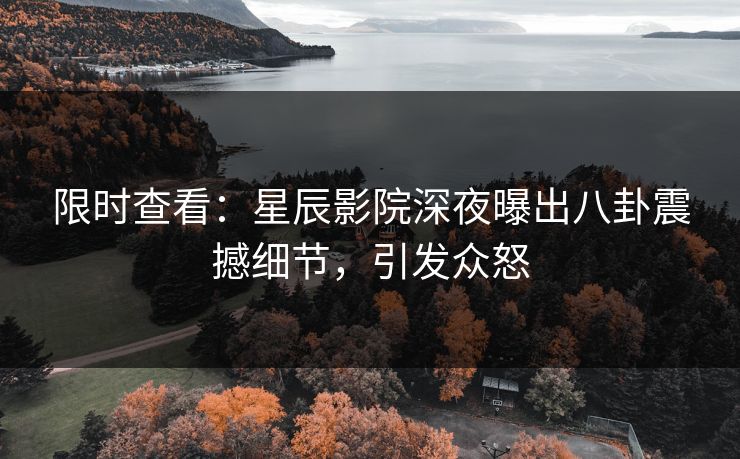限时查看：星辰影院深夜曝出八卦震撼细节，引发众怒