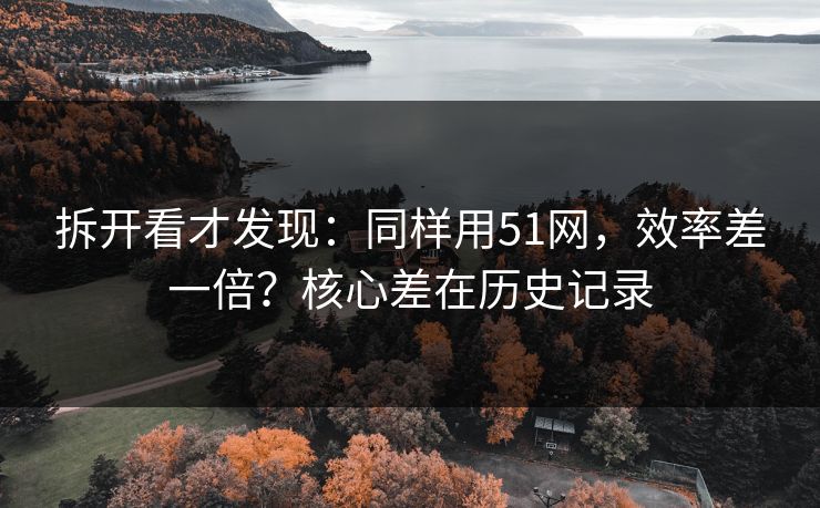 拆开看才发现：同样用51网，效率差一倍？核心差在历史记录